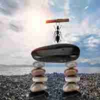 云﻿脚​本‌是‌什​么​